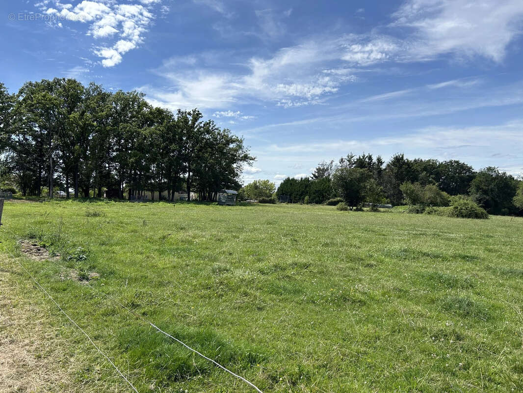 Terrain à BADECON-LE-PIN