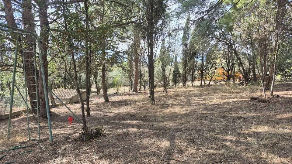 Terrain 449 m² à Ouveillan  - photo 2