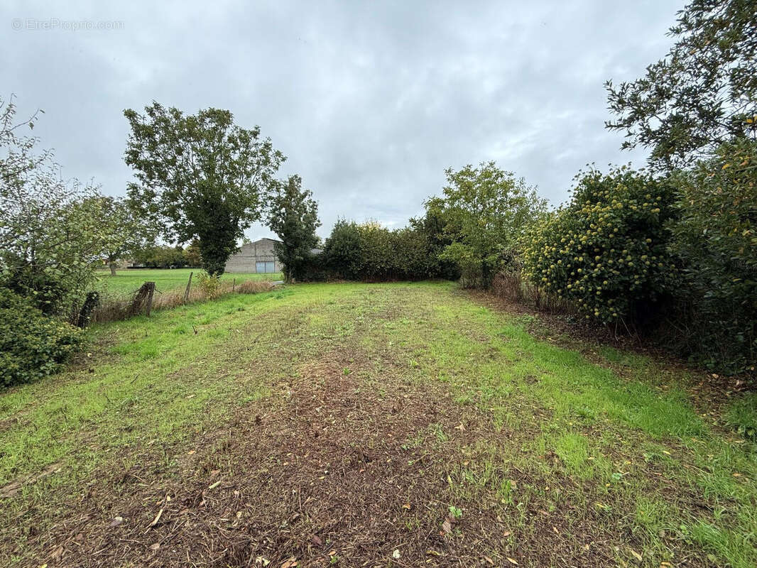 Photo 7 - Maison à SAINT-MARTIN-DE-FRAIGNEAU