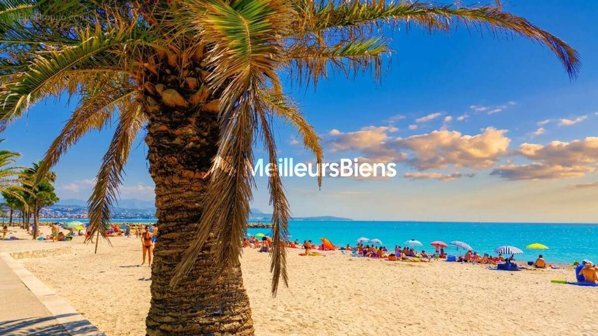 T2 Marina baie des anges - photo 7