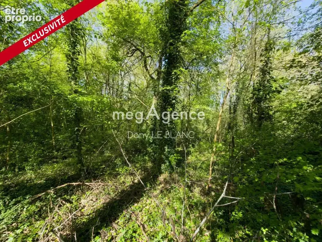 Terrain de loisirs boisé — 3174 m² - photo 3