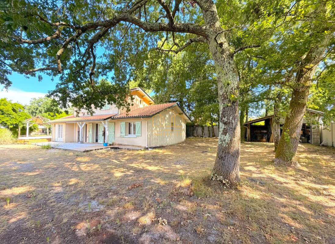 Maison T5 avec piscine et jardin à vendre à Gujan-Mestras - photo 3
