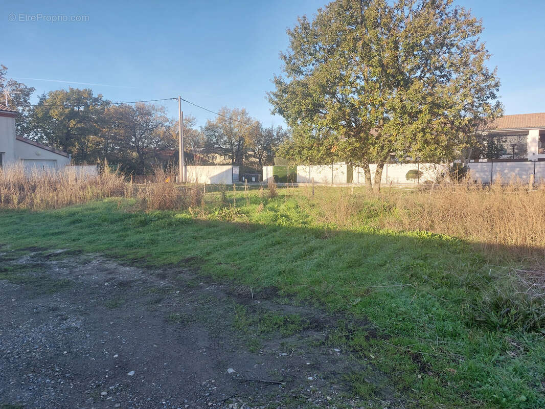 Terrain à CUGNAUX