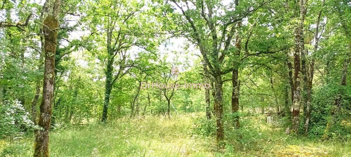 Terrain à MONTVALENT