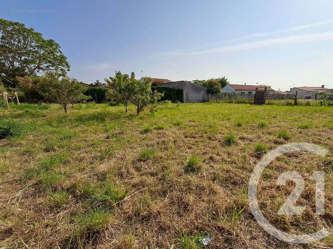 Terrain à TALMONT-SAINT-HILAIRE