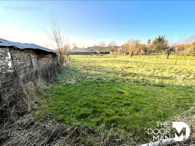 Commerce à RANCONNIERES