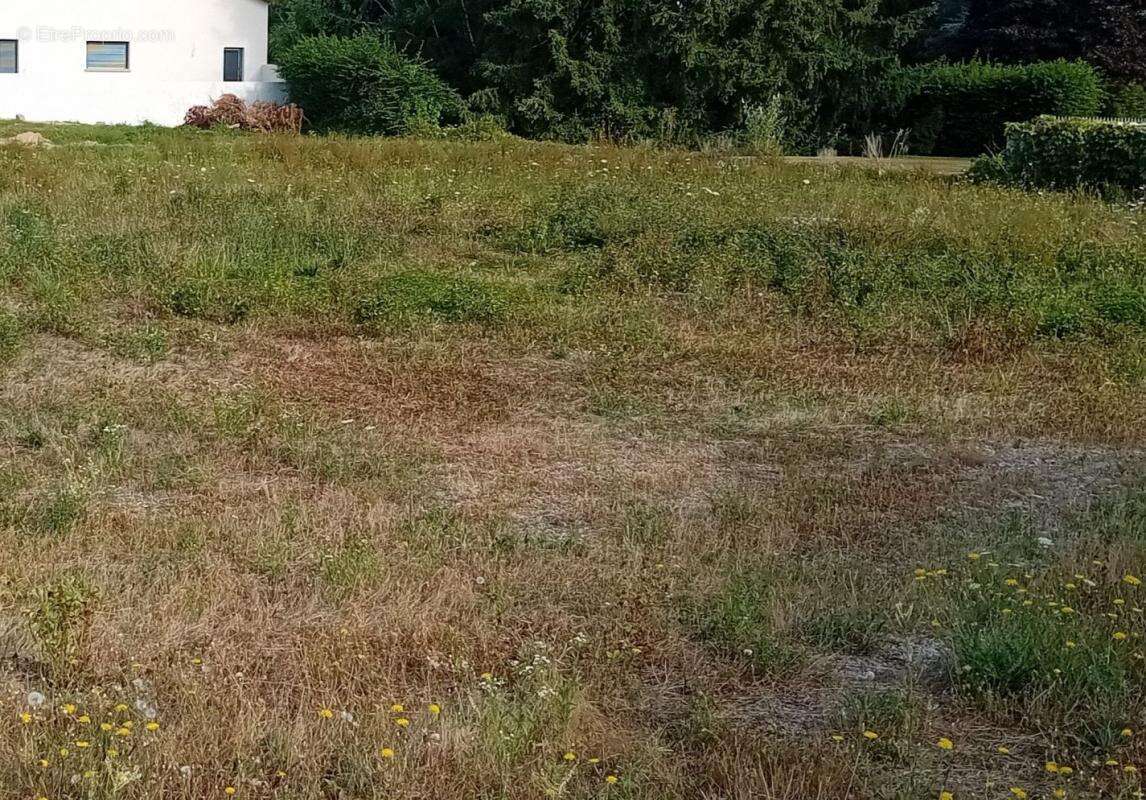 Terrain à VILLARS-LES-DOMBES