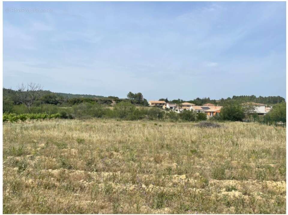 Terrain à PORTEL-DES-CORBIERES