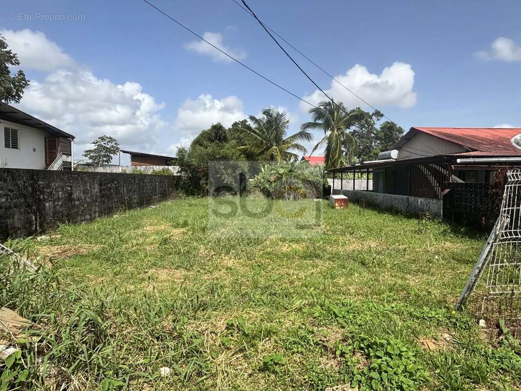 Maison à CAYENNE