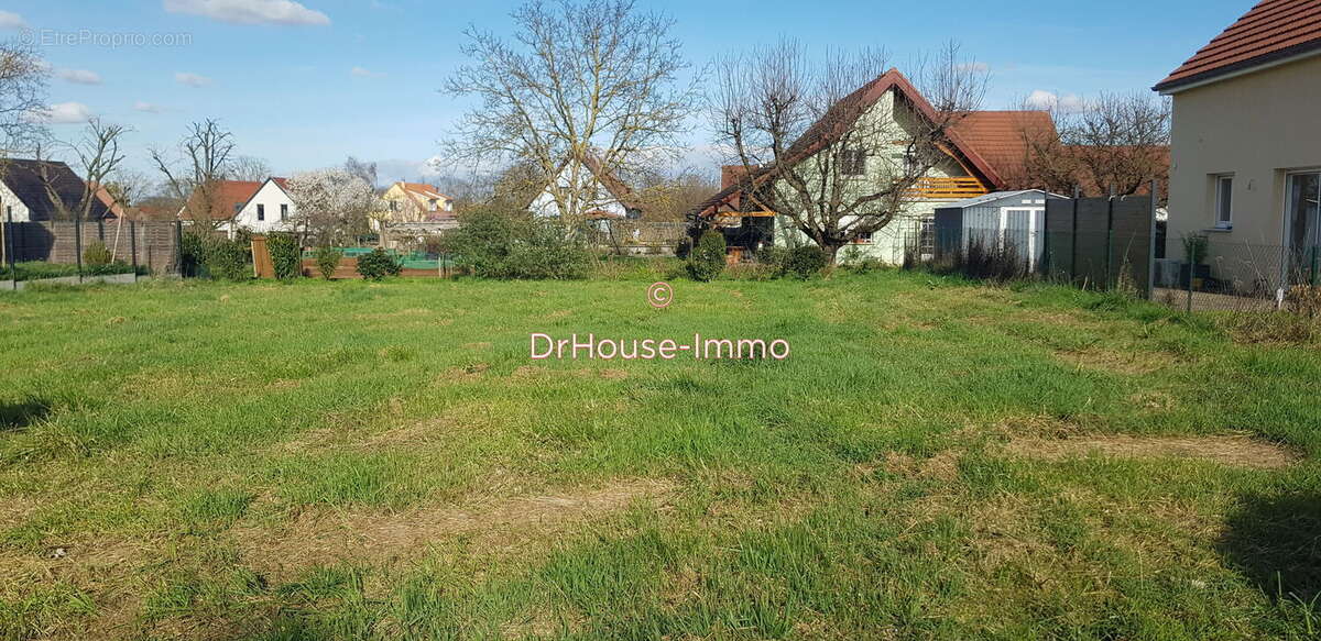 Terrain à MERXHEIM