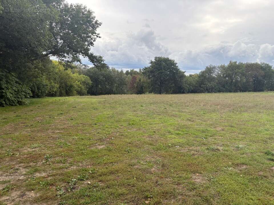 Terrain à MONTASTRUC-LA-CONSEILLERE