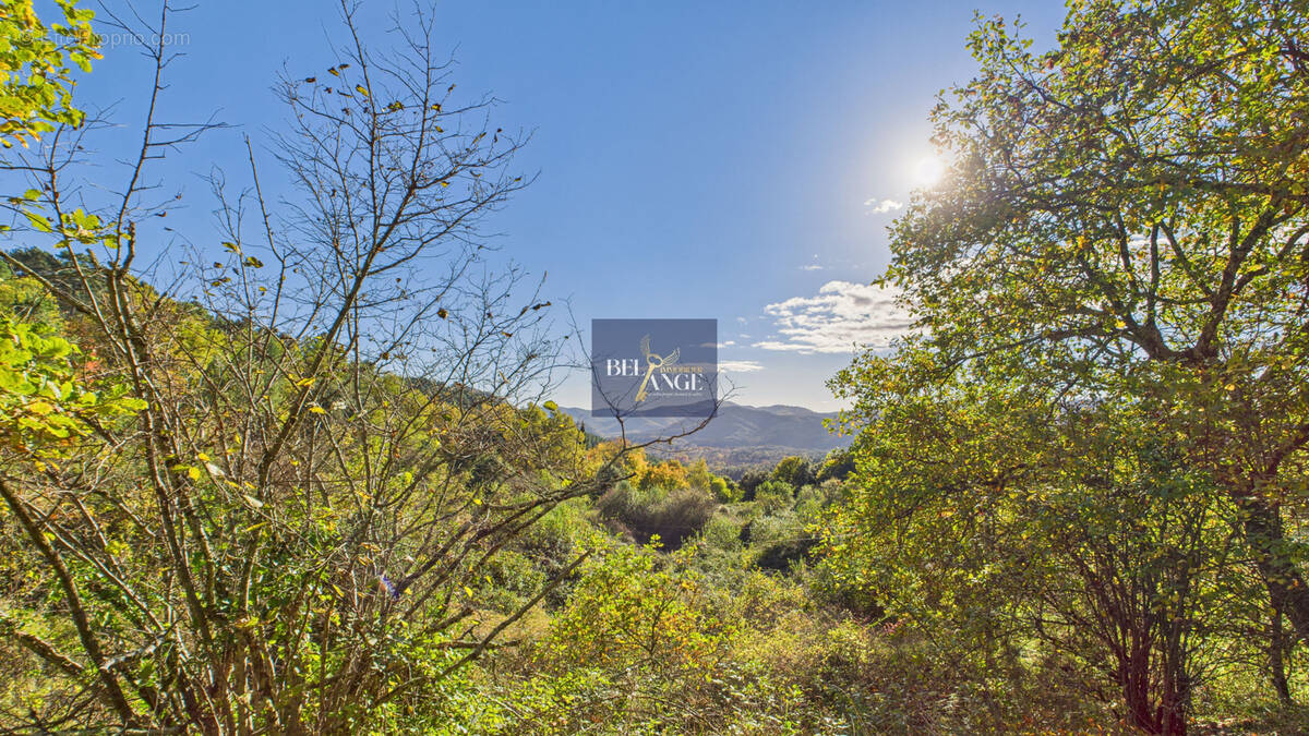 Maison à SAINT-PAUL-LE-JEUNE