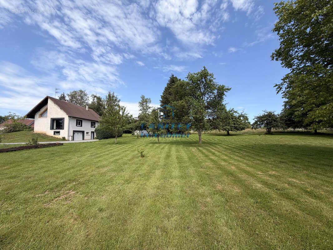 MAISON FAMILIALE - 4 chambres - 5537 m2 de terrain sans vis à vis - photo 2