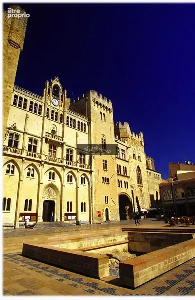 Commerce à NARBONNE