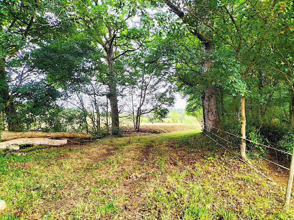 Terrain à MARGOUET-MEYMES