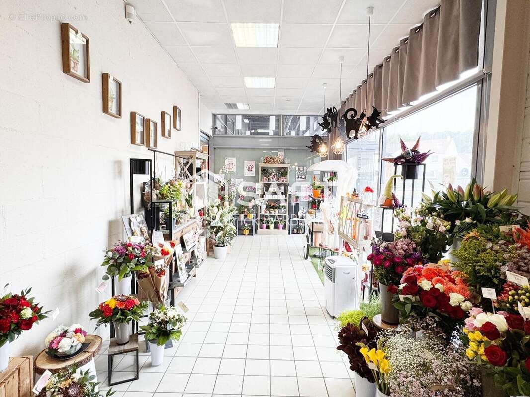 Photo 3 - Commerce à MENUCOURT