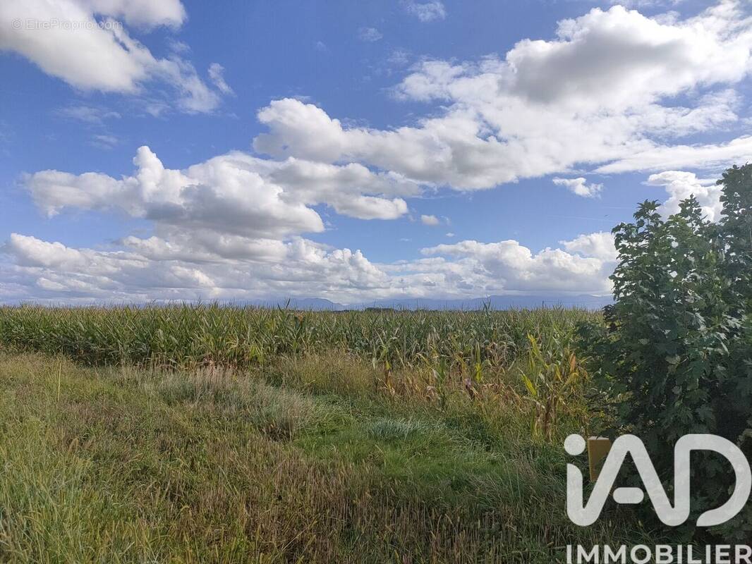 Photo 1 - Terrain à IBOS