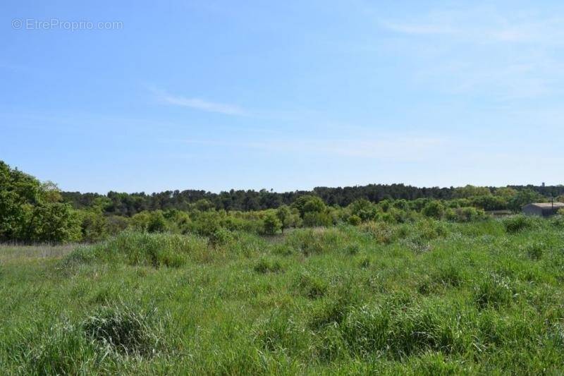 Terrain à GALARGUES