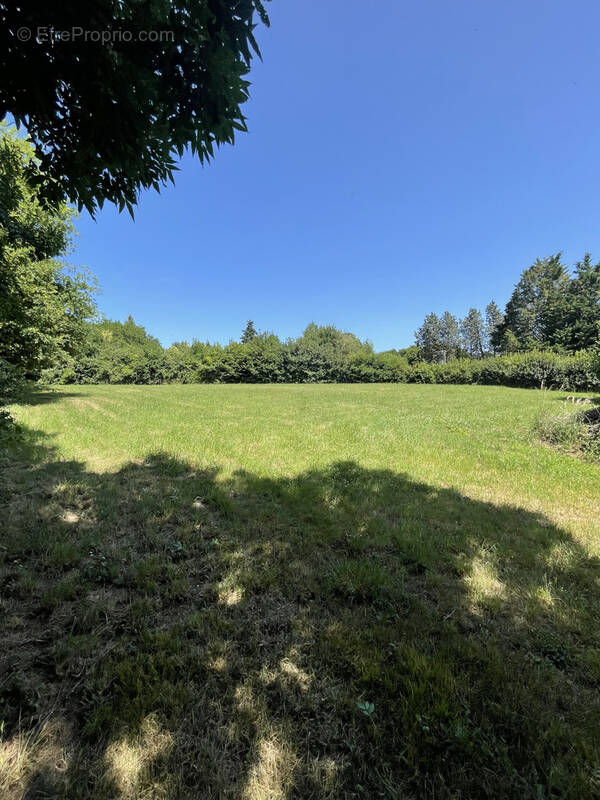 Terrain à VAILLY-SUR-SAULDRE