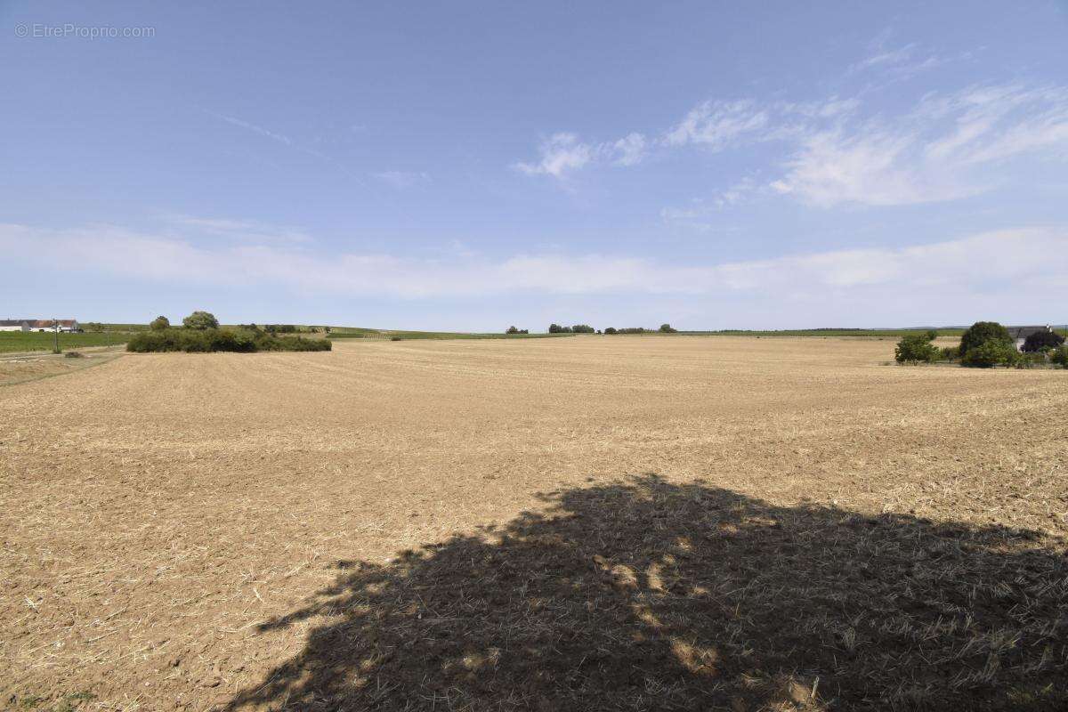 Maison À Vendre - photo 15
