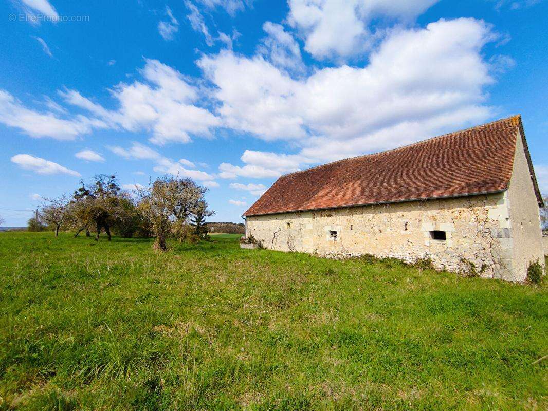 Longère Chaumussay 5 pièce(s) 109 m2 sur 2 Ha - photo 4