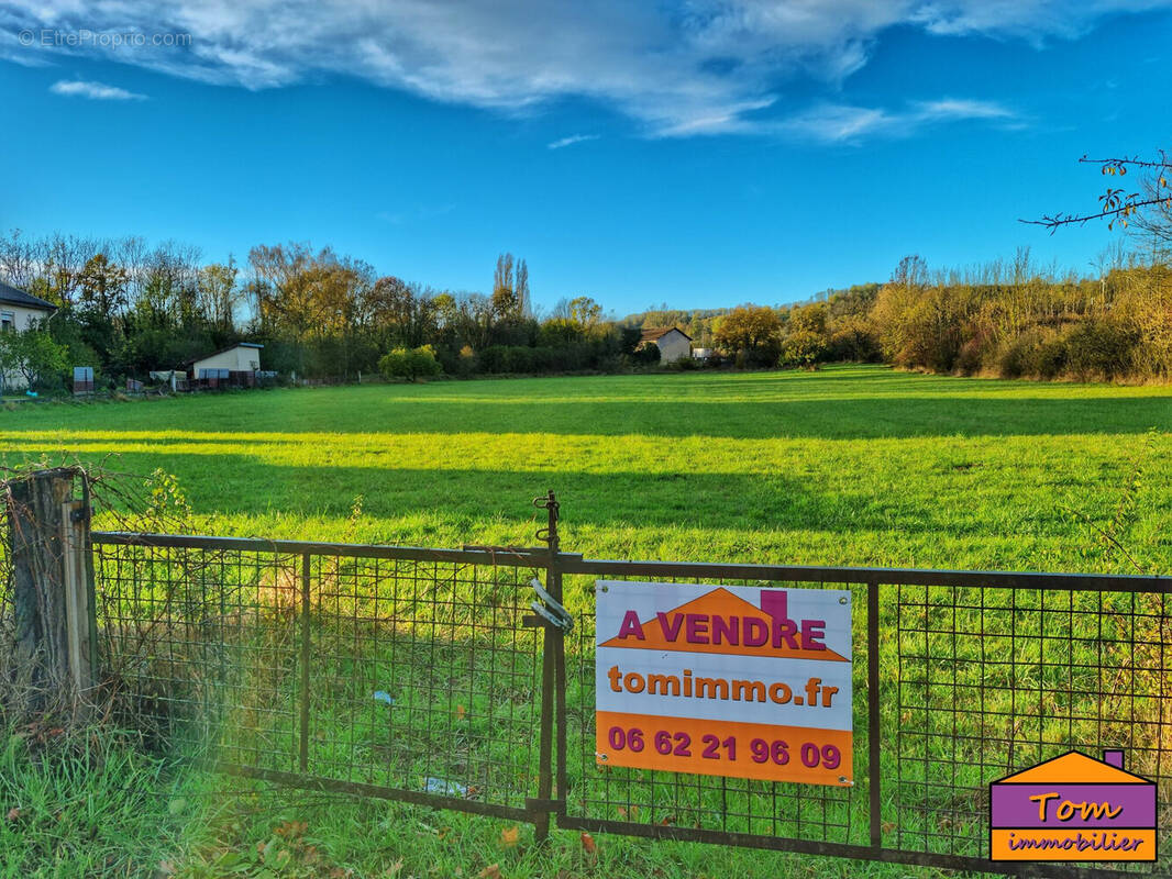 Terrain à LUNEVILLE