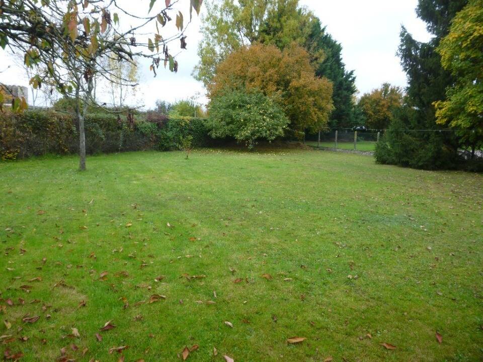 Terrain à LUDON-MEDOC