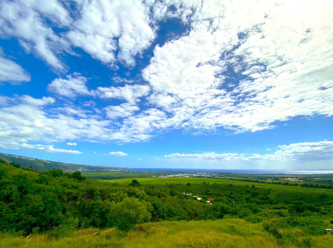 Terrain à SAINT-PAUL
