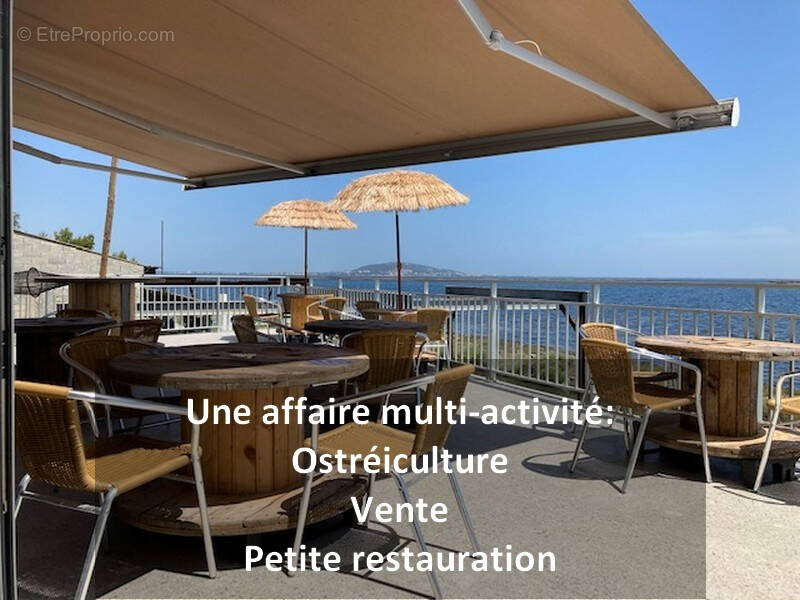 Commerce à SETE