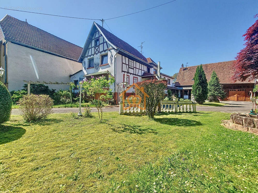 Maison 353 m² à Weitbruch  - photo 2