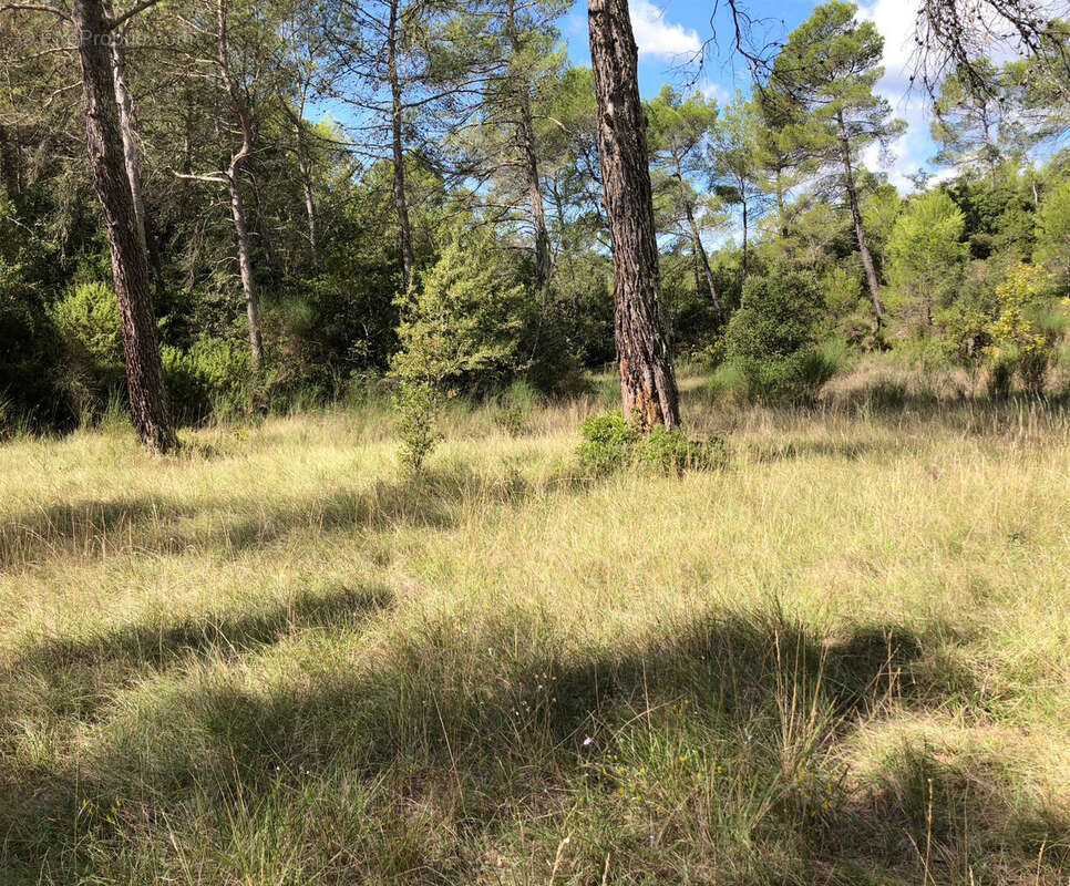 Propriété avec dépendances et vue montagne à Barjols - photo 41