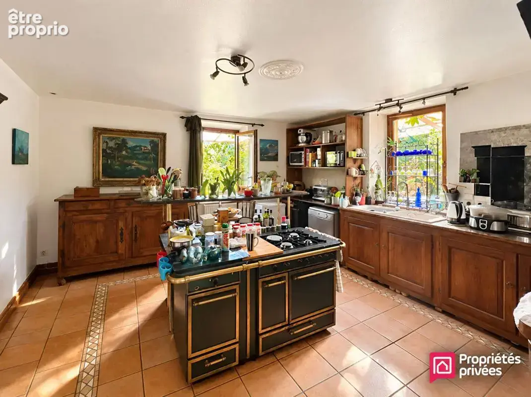 Maison, Gilly Sur Isère 15 pièces  353 m2 + dépendance de 200 m² - photo 6