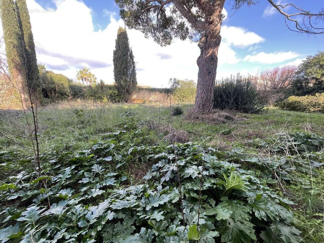 Terrain à POMEROLS