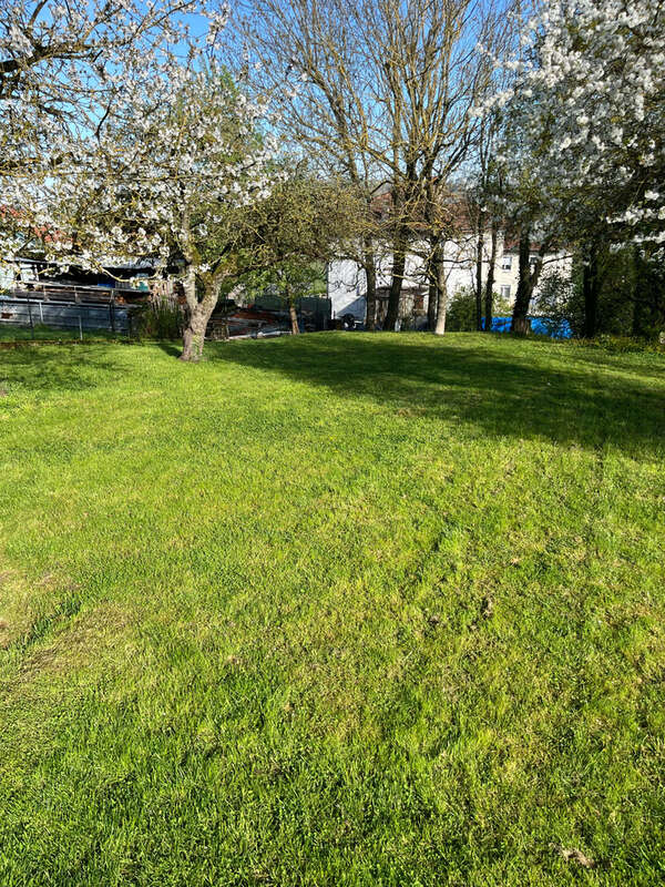 Maison à DOMBASLE-SUR-MEURTHE