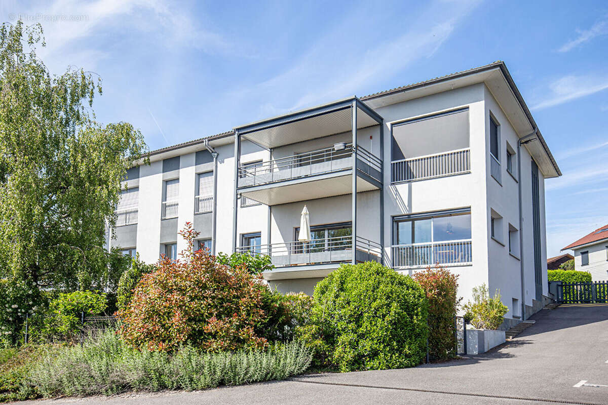 Agence immobiliere laforet - annecy-le-vieux - "sakura" - appartement t5 de 183,20m² - terrasses - cave - place de stationnement - photo 3