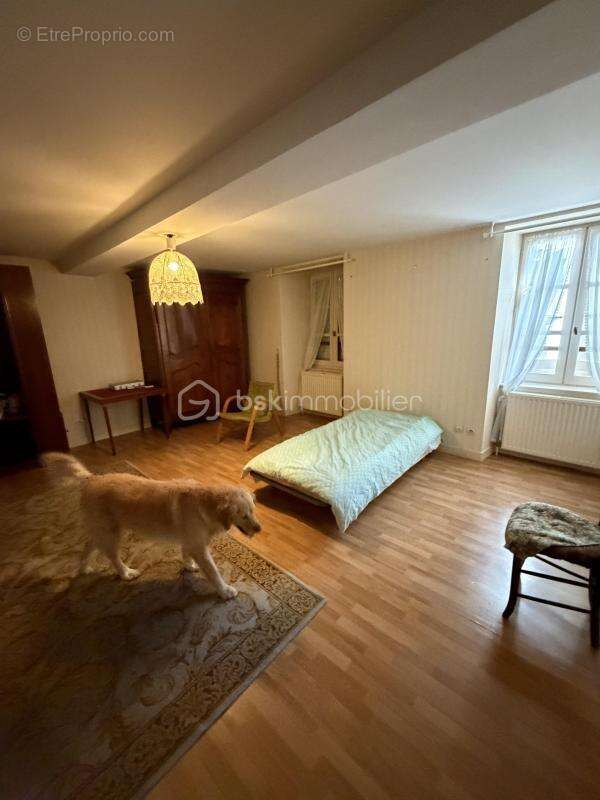 Appartement à RENAISON