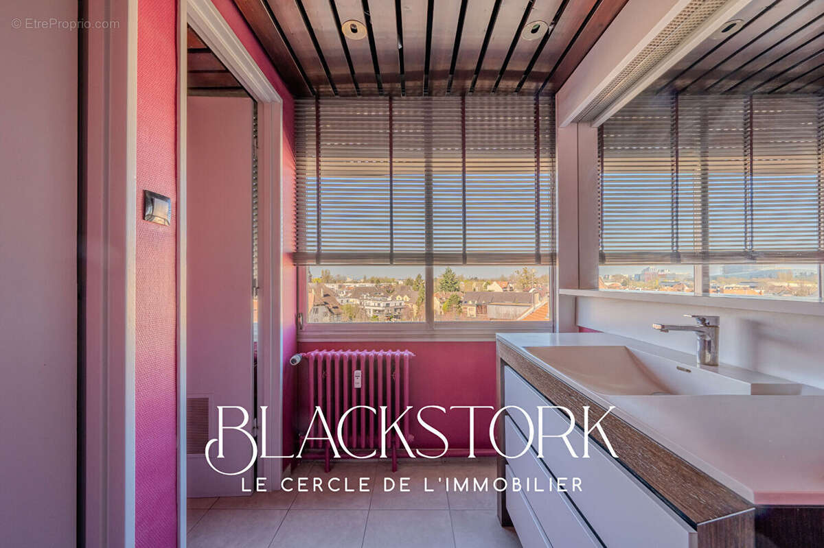 Local professionnel - strasbourg roberstau - vue degagee - photo 11