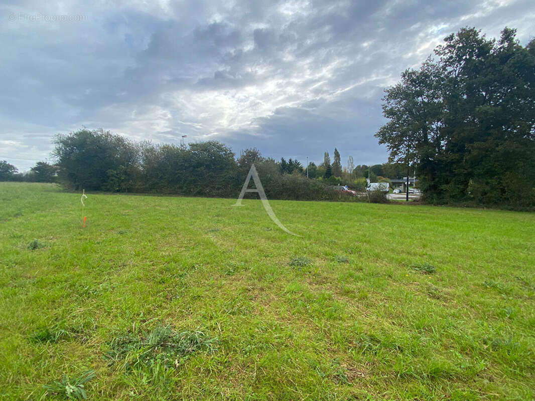 Terrain à LA MOTHE-ACHARD