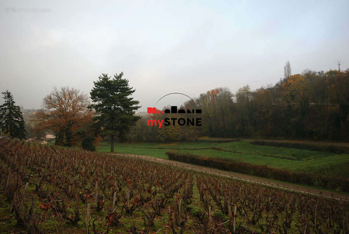 Terrain à SAINT-AMOUR-BELLEVUE