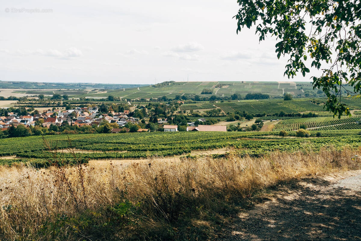 Terrain à MONTEREAU-FAULT-YONNE