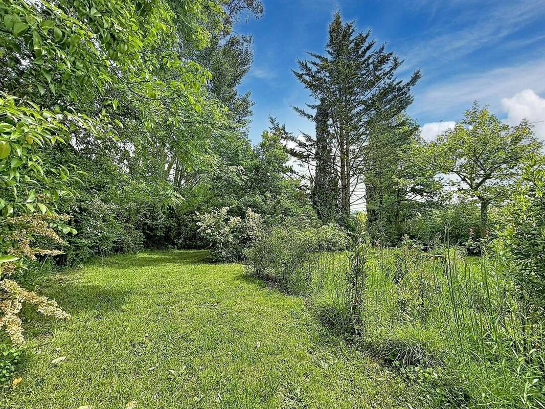 Maison 300 m² à Anan  - photo 3