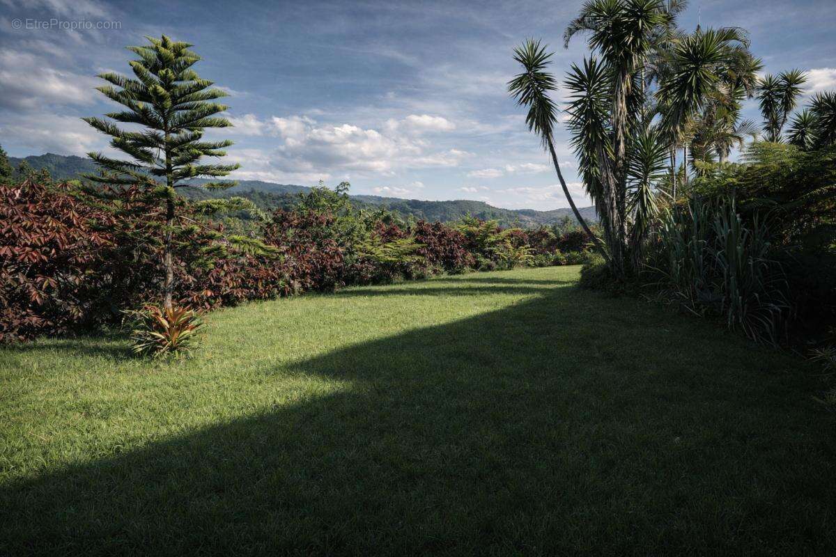Maison à SAINT-LOUIS
