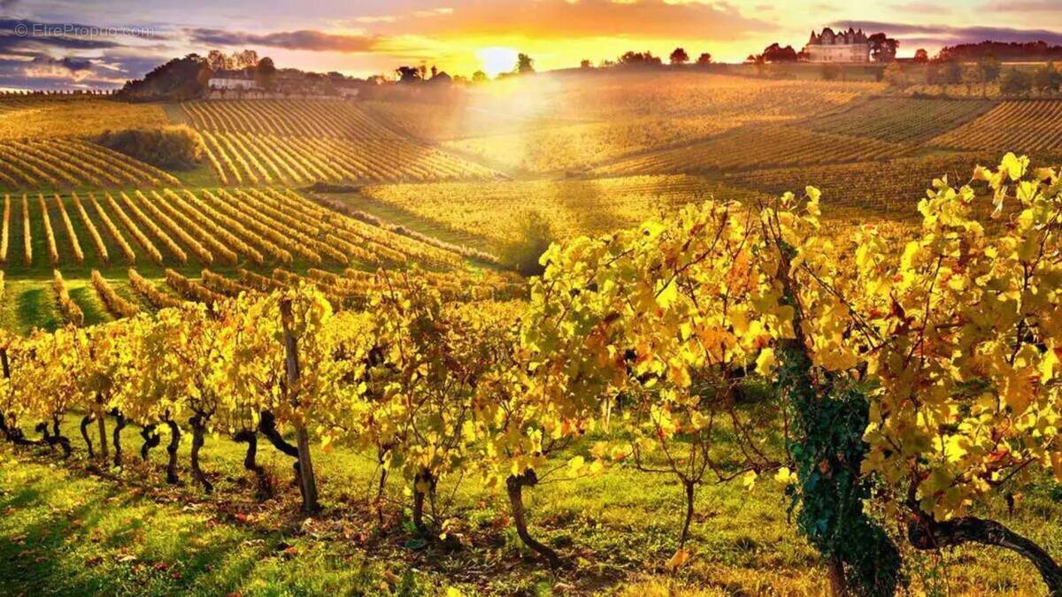 Terrain à MONBAZILLAC