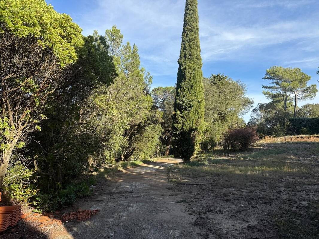 Terrain à CARCASSONNE