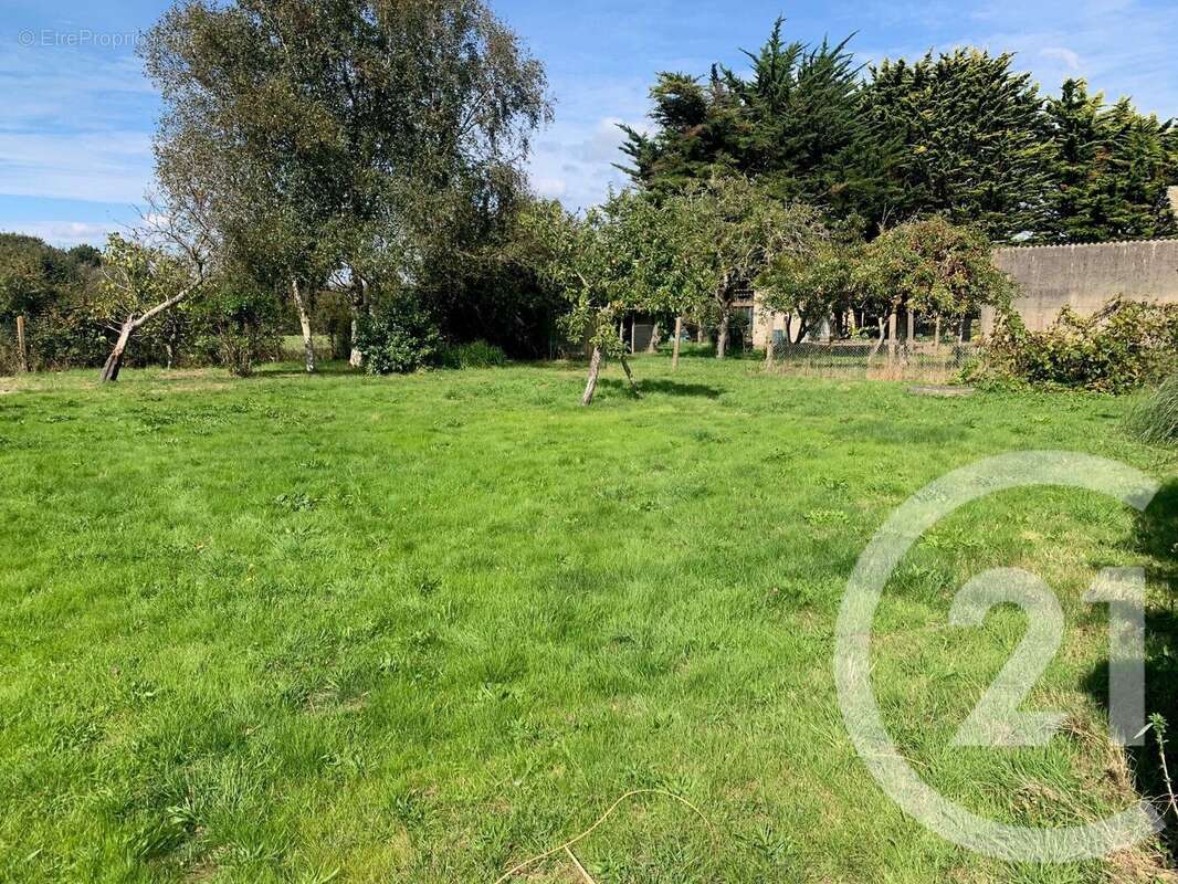 Terrain à PENESTIN