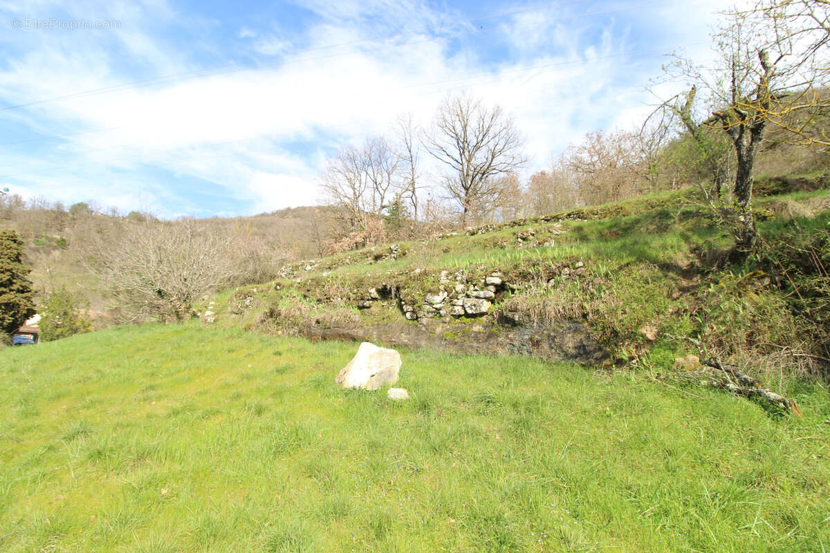 Terrain à SAINT-AFFRIQUE