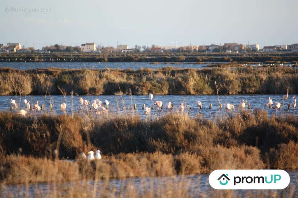 Appartement à FRONTIGNAN