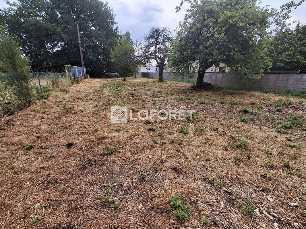 Terrain Manom 4203m2 - photo 5
