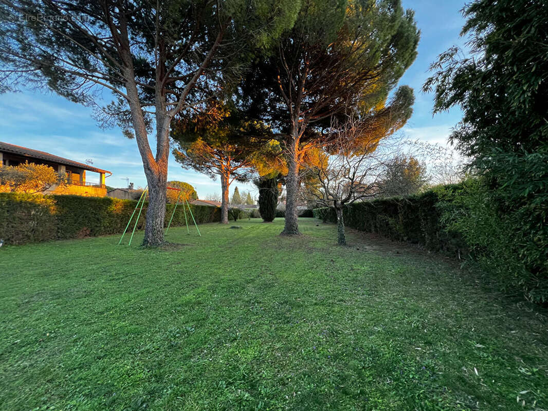Terrain à MORIERES-LES-AVIGNON