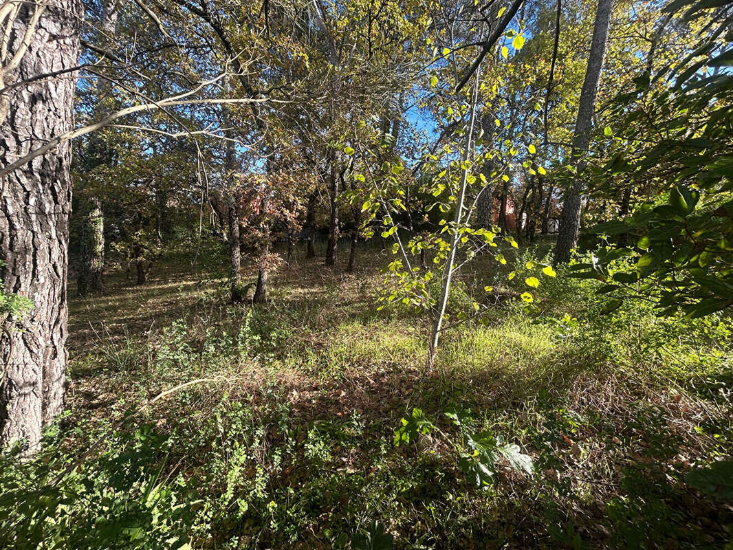 Terrain à ROCBARON